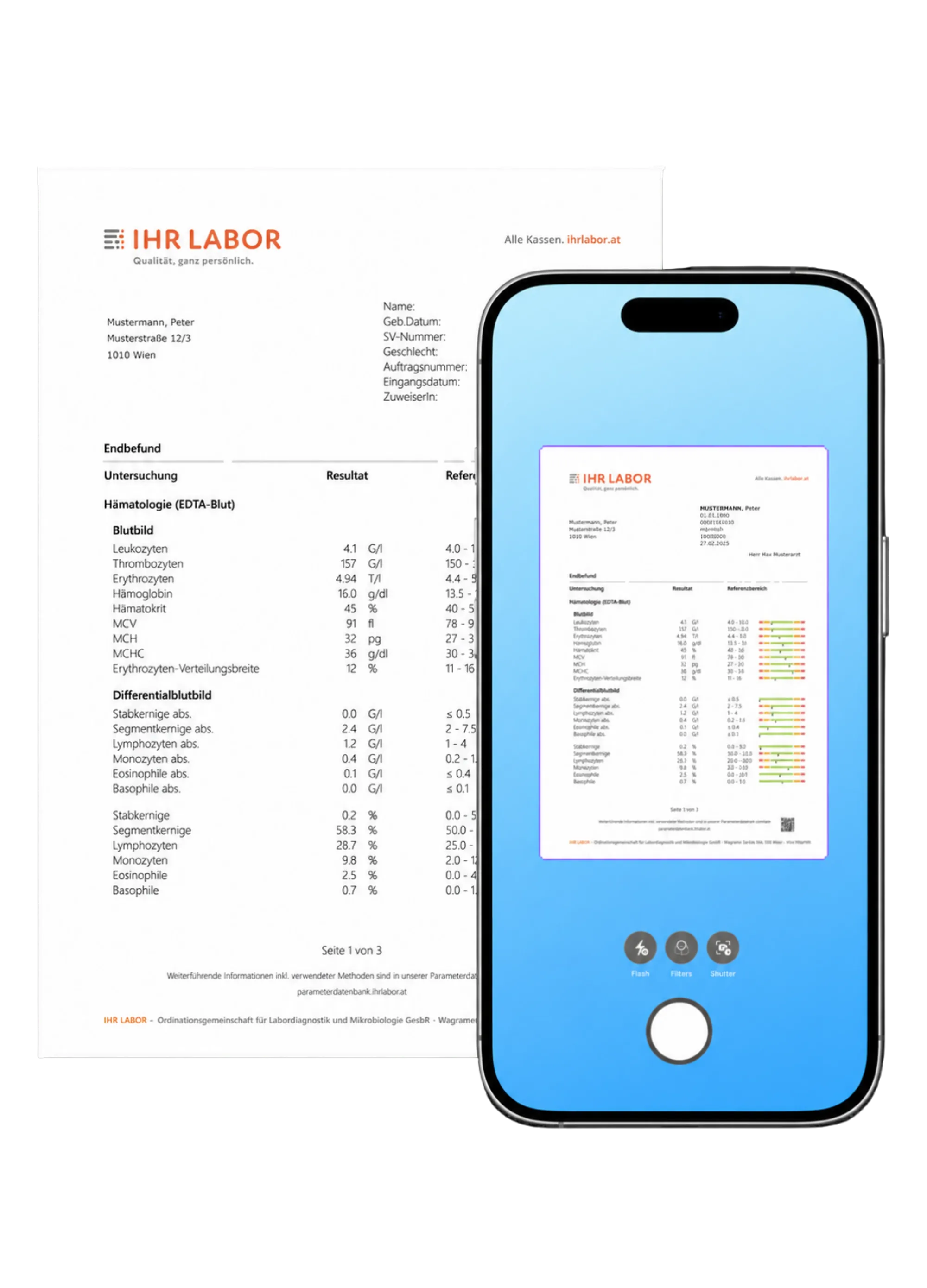 BodyWision health record with organized medical documents